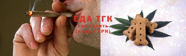 хмурый Бородино