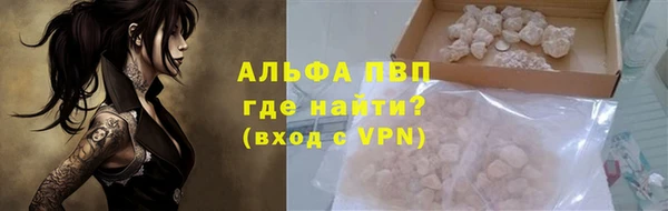 хмурый Бородино
