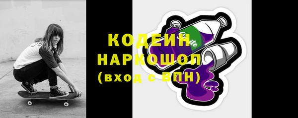 хмурый Бородино