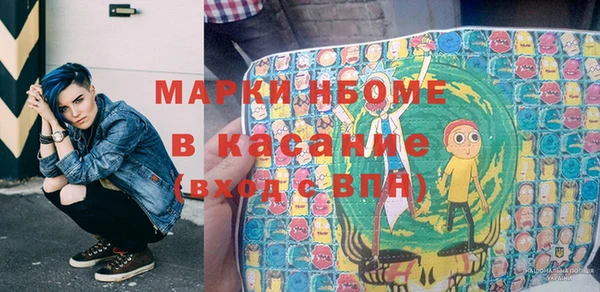 хмурый Бородино