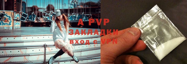 хмурый Бородино