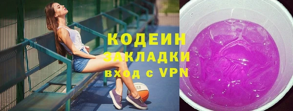 хмурый Бородино